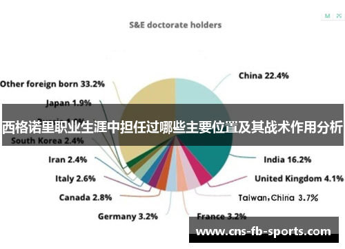 西格诺里职业生涯中担任过哪些主要位置及其战术作用分析