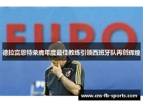德拉富恩特荣膺年度最佳教练引领西班牙队再创辉煌