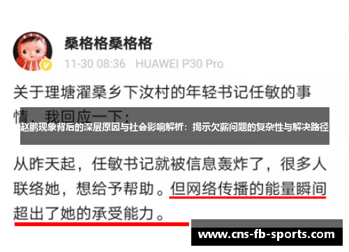 赵鹏现象背后的深层原因与社会影响解析：揭示欠薪问题的复杂性与解决路径