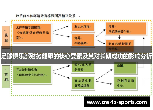 足球俱乐部财务健康的核心要素及其对长期成功的影响分析