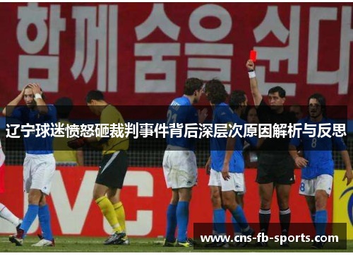 辽宁球迷愤怒砸裁判事件背后深层次原因解析与反思