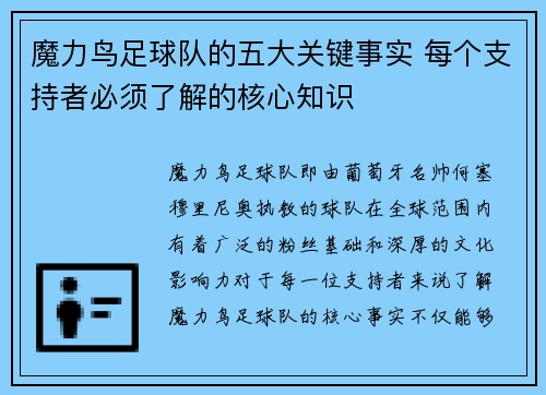 魔力鸟足球队的五大关键事实 每个支持者必须了解的核心知识